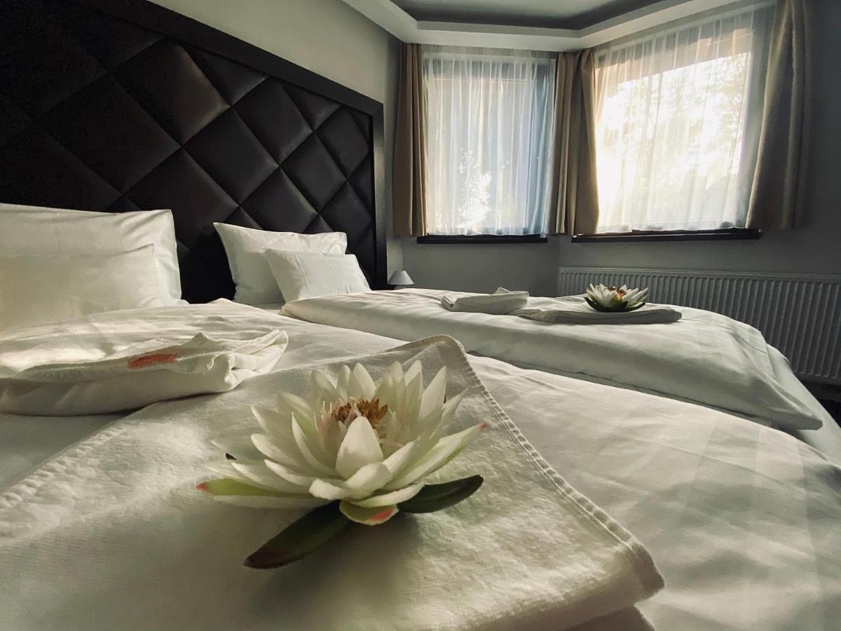 Hotel Lotus Hermina-major Dış mekan fotoğraf